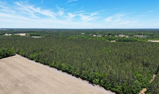 Photo #27 of Off of Concord Sappony Rd, Stony Creek, VA 28.0 acres