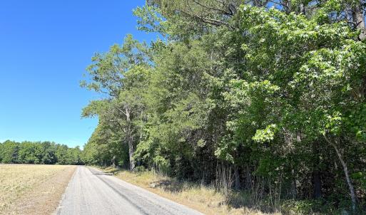 Photo #3 of Off of Concord Sappony Rd, Stony Creek, VA 28.0 acres