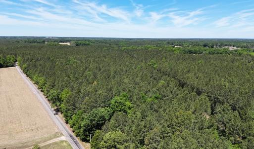 Photo #4 of Off of Concord Sappony Rd, Stony Creek, VA 28.0 acres