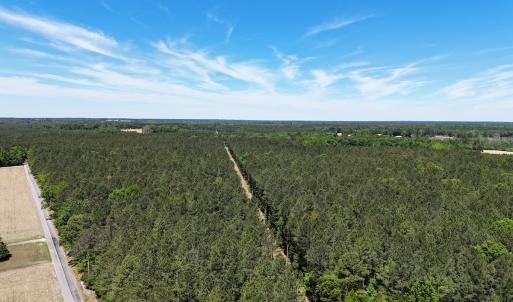 Photo #5 of Off of Concord Sappony Rd, Stony Creek, VA 28.0 acres