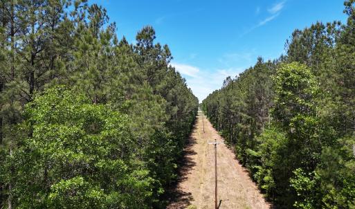 Photo #6 of Off of Concord Sappony Rd, Stony Creek, VA 28.0 acres