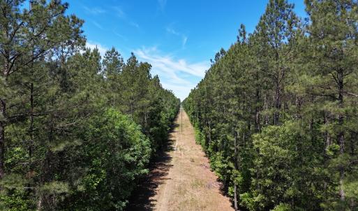 Photo #9 of Off of Concord Sappony Rd, Stony Creek, VA 28.0 acres