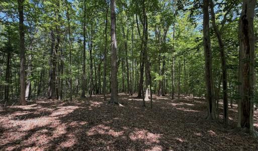 Photo #3 of Off Dylan Ct., Pittsville, VA 0.5 acres