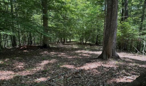 Photo #4 of Off Dylan Ct., Pittsville, VA 0.5 acres