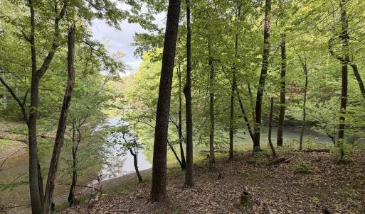 Photo #5 of Off Dylan Ct., Pittsville, VA 0.5 acres