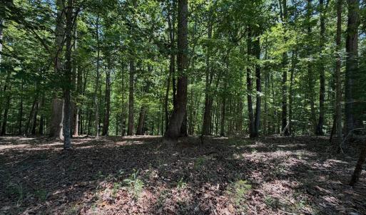 Photo #31 of Off Dylan Ct., Pittsville, VA 0.5 acres