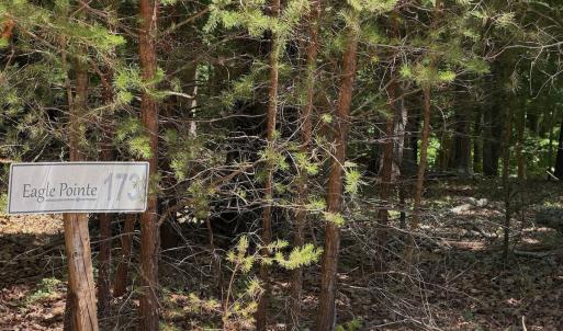 Photo #39 of Off Dylan Ct., Pittsville, VA 0.5 acres