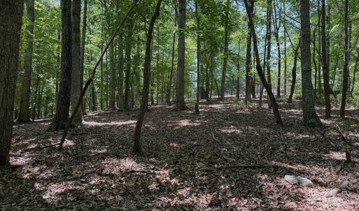 Photo #40 of Off Dylan Ct., Pittsville, VA 0.5 acres
