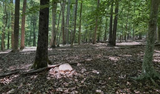 Photo #43 of Off Dylan Ct., Pittsville, VA 0.5 acres