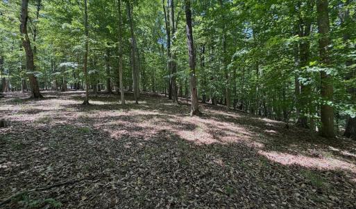 Photo #45 of Off Dylan Ct., Pittsville, VA 0.5 acres