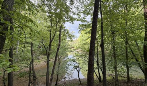 Photo #53 of Off Dylan Ct., Pittsville, VA 0.5 acres