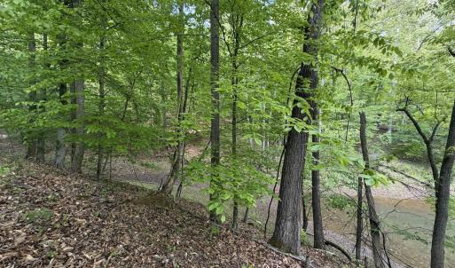 Photo #54 of Off Dylan Ct., Pittsville, VA 0.5 acres