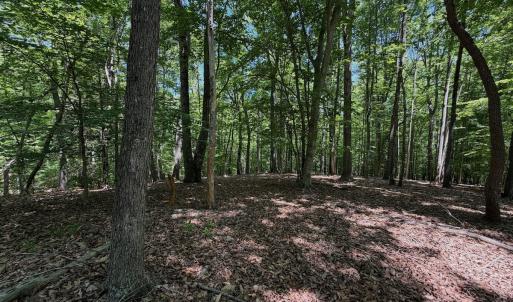 Photo #58 of Off Dylan Ct., Pittsville, VA 0.5 acres