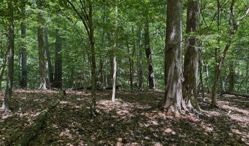 Photo #59 of Off Dylan Ct., Pittsville, VA 0.5 acres