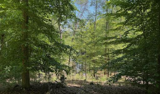 Photo #60 of Off Dylan Ct., Pittsville, VA 0.5 acres