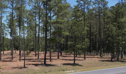 Photo #10 of Off of Dowd Dairy Rd, White Oak, NC 8.4 acres