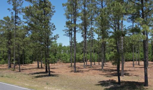 Photo #11 of Off of Dowd Dairy Rd, White Oak, NC 8.4 acres