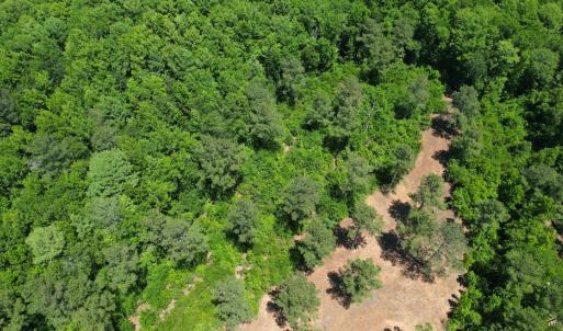 Photo #14 of Off of Dowd Dairy Rd, White Oak, NC 8.4 acres