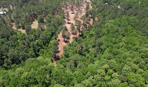 Photo #15 of Off of Dowd Dairy Rd, White Oak, NC 8.4 acres
