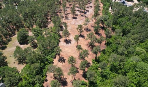 Photo #16 of Off of Dowd Dairy Rd, White Oak, NC 8.4 acres