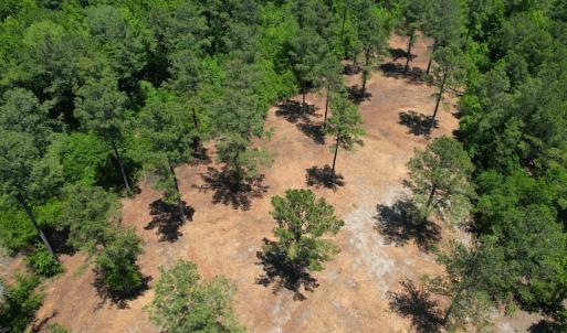 Photo #18 of Off of Dowd Dairy Rd, White Oak, NC 8.4 acres