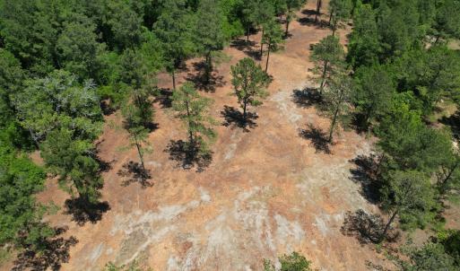 Photo #19 of Off of Dowd Dairy Rd, White Oak, NC 8.4 acres