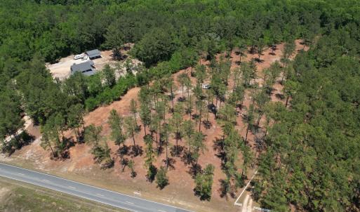 Photo #1 of Off of Dowd Dairy Rd, White Oak, NC 8.4 acres