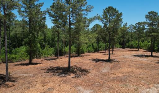 Photo #22 of Off of Dowd Dairy Rd, White Oak, NC 8.4 acres