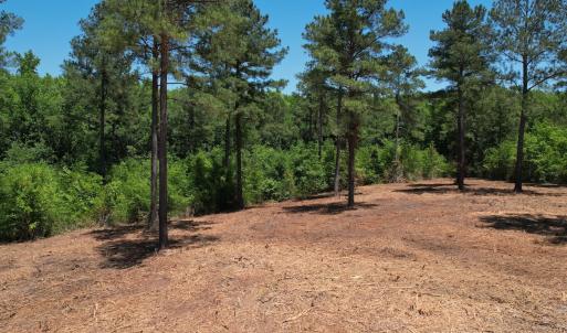 Photo #23 of Off of Dowd Dairy Rd, White Oak, NC 8.4 acres