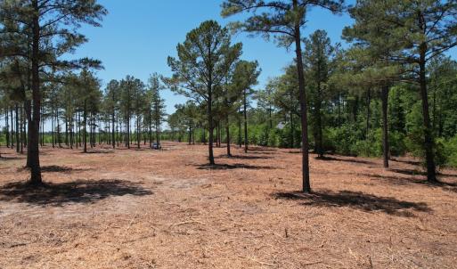 Photo #25 of Off of Dowd Dairy Rd, White Oak, NC 8.4 acres