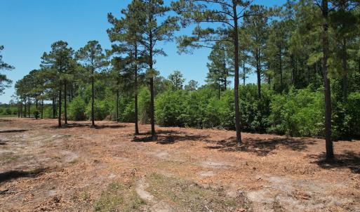 Photo #27 of Off of Dowd Dairy Rd, White Oak, NC 8.4 acres