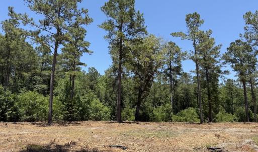 Photo #29 of Off of Dowd Dairy Rd, White Oak, NC 8.4 acres