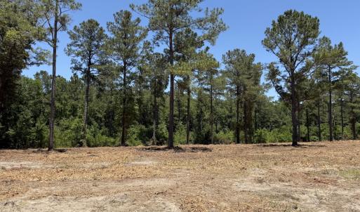 Photo #30 of Off of Dowd Dairy Rd, White Oak, NC 8.4 acres