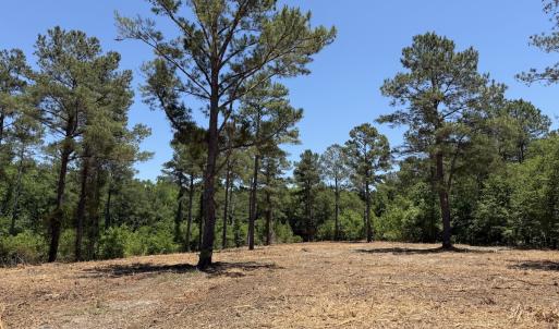 Photo #31 of Off of Dowd Dairy Rd, White Oak, NC 8.4 acres