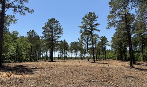 Photo #32 of Off of Dowd Dairy Rd, White Oak, NC 8.4 acres