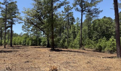 Photo #33 of Off of Dowd Dairy Rd, White Oak, NC 8.4 acres