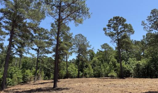 Photo #34 of Off of Dowd Dairy Rd, White Oak, NC 8.4 acres