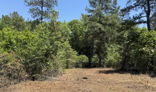 Photo #35 of Off of Dowd Dairy Rd, White Oak, NC 8.4 acres