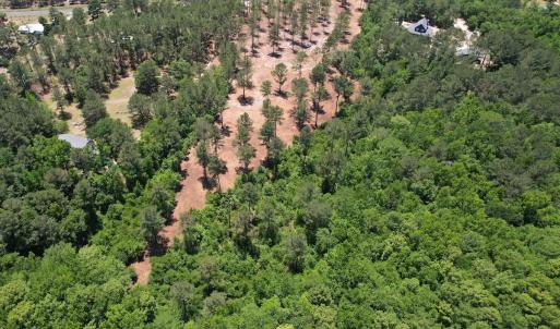 Photo #5 of Off of Dowd Dairy Rd, White Oak, NC 8.4 acres