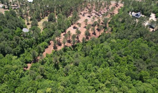Photo #6 of Off of Dowd Dairy Rd, White Oak, NC 8.4 acres