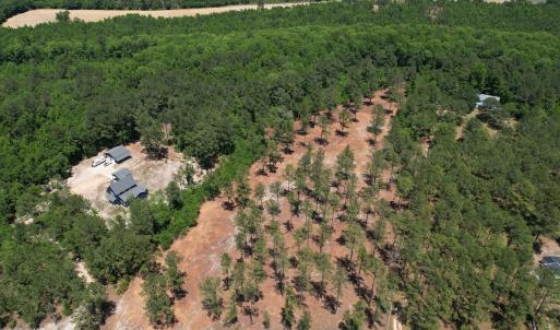 Photo #8 of Off of Dowd Dairy Rd, White Oak, NC 8.4 acres
