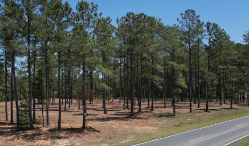 Photo #9 of Off of Dowd Dairy Rd, White Oak, NC 8.4 acres