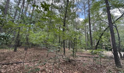 Photo #10 of Off Elfman Dr, Spring Lake, NC 0.5 acres