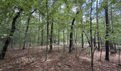 Photo #13 of Off Elfman Dr, Spring Lake, NC 0.5 acres