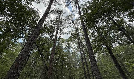 Photo #18 of Off Elfman Dr, Spring Lake, NC 0.5 acres