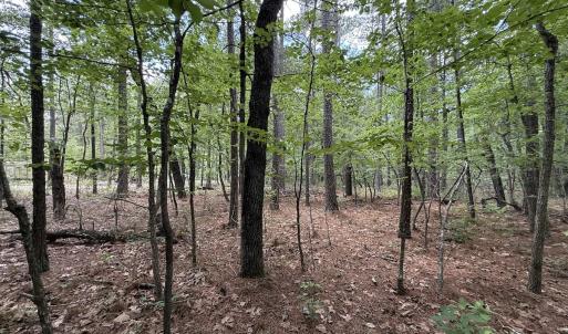 Photo #22 of Off Elfman Dr, Spring Lake, NC 0.5 acres