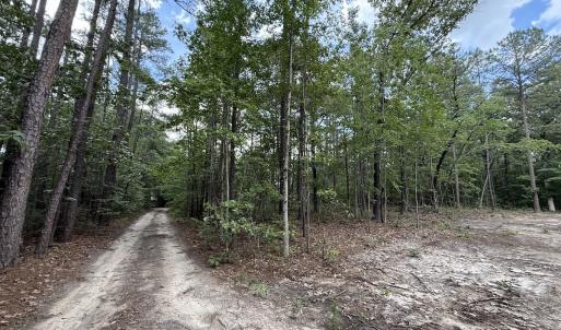 Photo #29 of Off Elfman Dr, Spring Lake, NC 0.5 acres