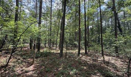 Photo #7 of Off Elfman Dr, Spring Lake, NC 0.5 acres
