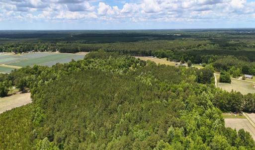 Photo #13 of Off of Ruby's Ln., Maysville, NC 5.3 acres