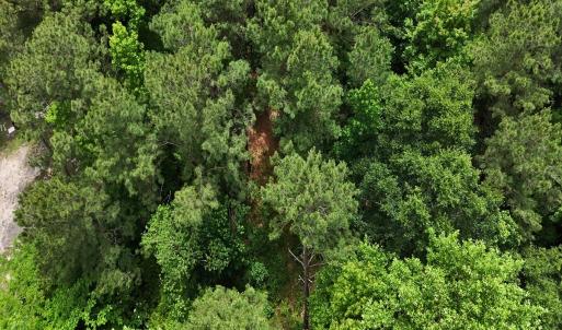Photo #15 of Off of Ruby's Ln., Maysville, NC 5.3 acres